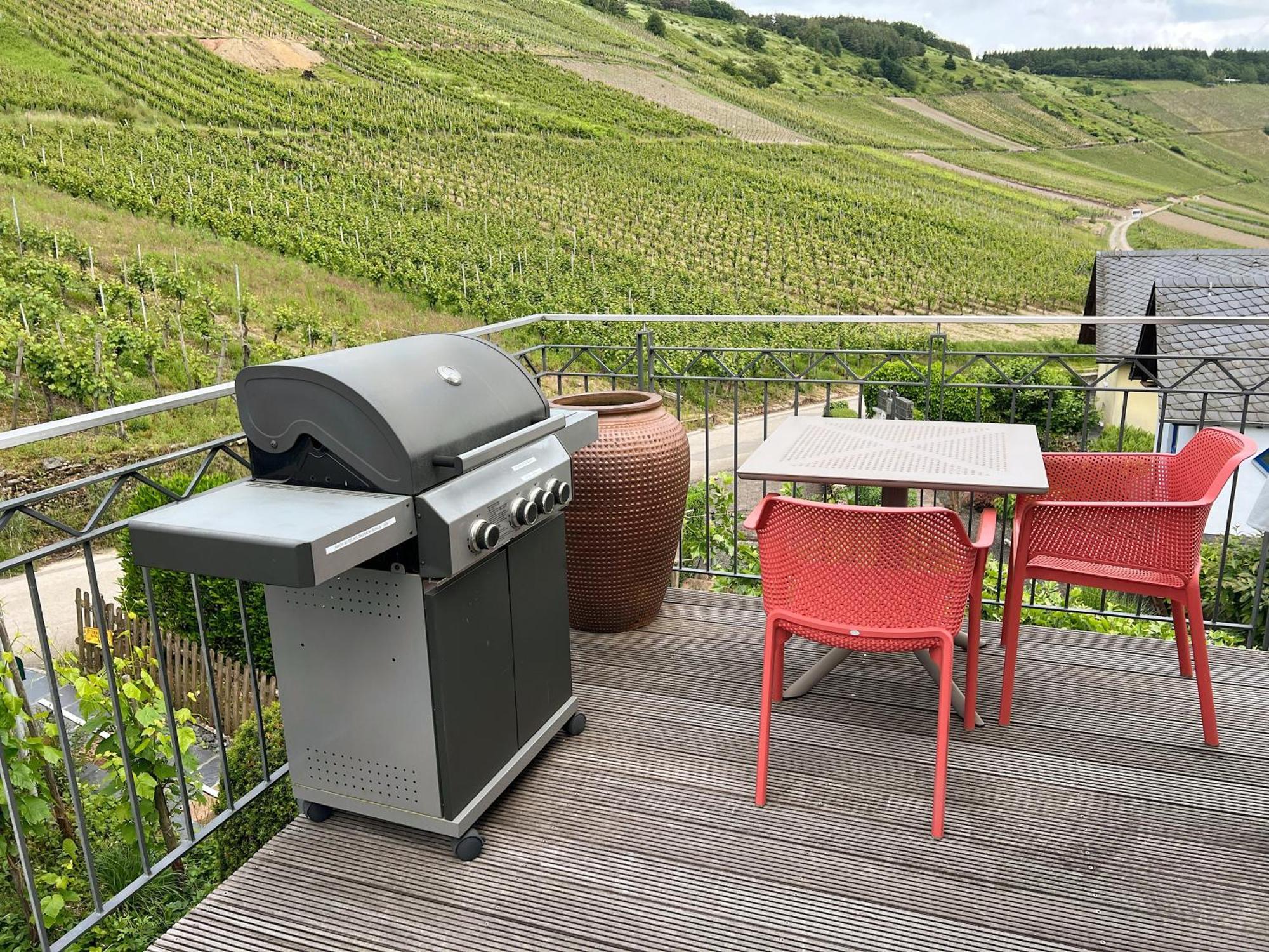Weingut-aparthotel Olinger 5* Mehring (Rhineland-Palatinate)