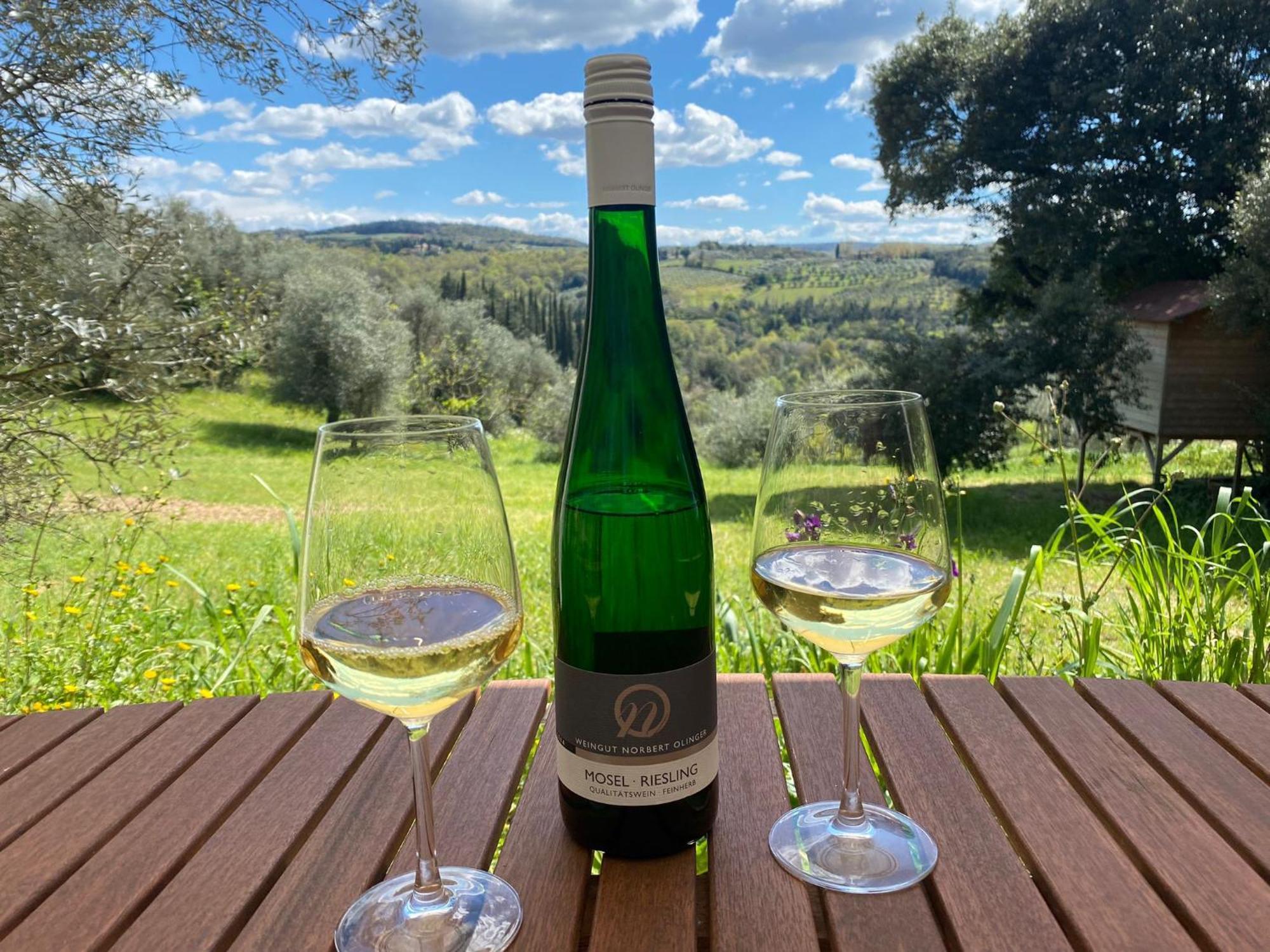 Weingut-aparthotel Olinger 5*